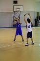 Basket 252032